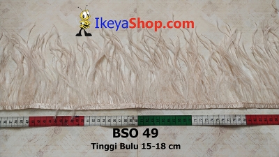 BSO 49  large2